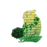 Lush Chomik