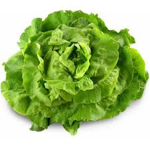 Salade
