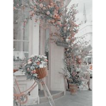 |+| Neverland |+|