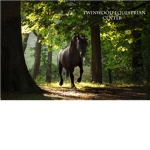 TwinWood Equestrian Center