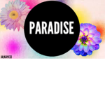 Paradise Theatre <3