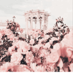 +pastel roses+