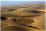 Desert Clan