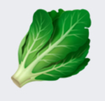Lettuce 0v0