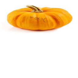 Pumpkin Hang out