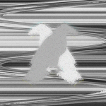 Papillon [UGC]