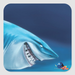 Shark club_ocean