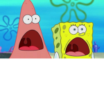 Cat like love cats