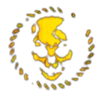 [DARK REGION] 黑暗区域