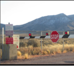 Area51 Group Alien