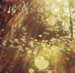 ..eunoia..