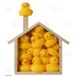 ducky home [NEW]