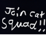 Cat squad Zion and Elbert