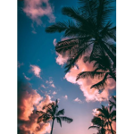 F͜͡r͜͡x͜͡s͜͡t͜͡e͜͡d͜͡c͜͡l͜͡u͜͡d͜͡s͜͡