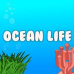 Ocean life Studios