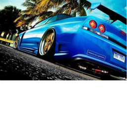 Car Racers