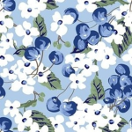 P̾r̾e̾p̾p̾y̾_Blueberrys