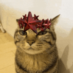 Cabmu