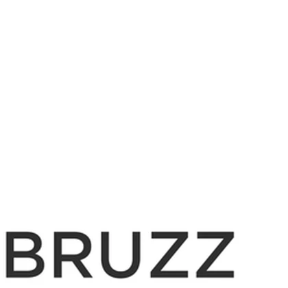 The Bruzz Group Roblox group icon
