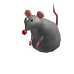 The Rats Training Center