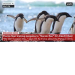 penguin POPULATION MUST GROW!!!