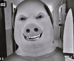 The Pork Patrol