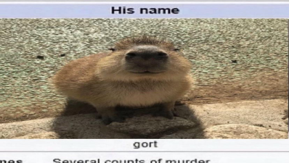 capybara meme Roblox decal