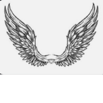 the godly wings