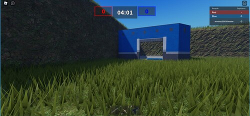 capture a flag
