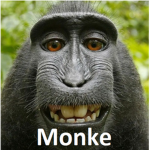 MonkeyLikeGames