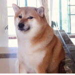 The Blue And doge club