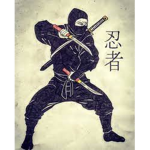 The Rice Ninja's