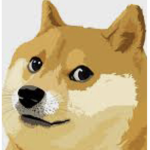Doge Studios#1