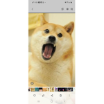 스틸 타임