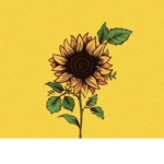 SunnyDreamers