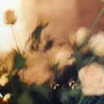 phonomania
