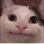 送咗個新
