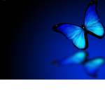 bAbY bUtTeRfLyS!