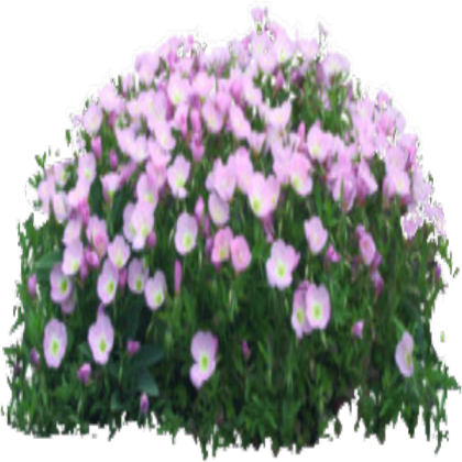Pink Flower Bush Roblox decal