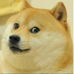 #Da Doge Gang