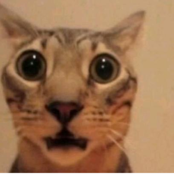 fight heisenburg!!!!