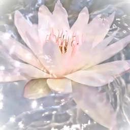 ☆