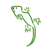 GECKO SQUAD!!