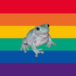 LGBTQ+ Frog cult