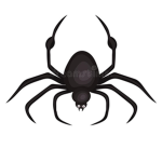 Scary Spider Studios
