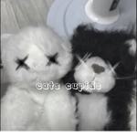 cats cupids