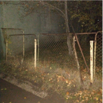 Operation Sanctuary
