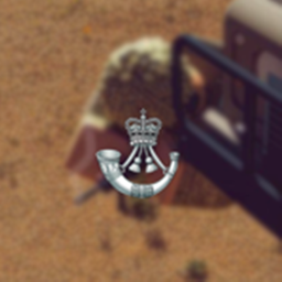 ATRW, Rifles Regiment