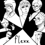 ⁎ flexx ⁎