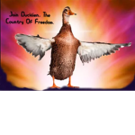 Ducklien Quartermaster